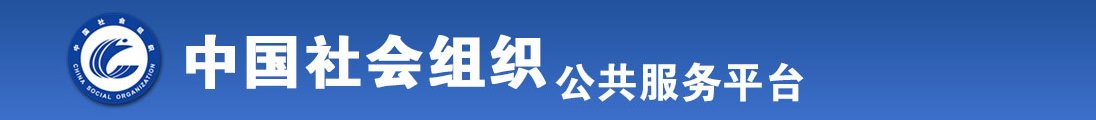 狠插中年妇女全国社会组织信息查询